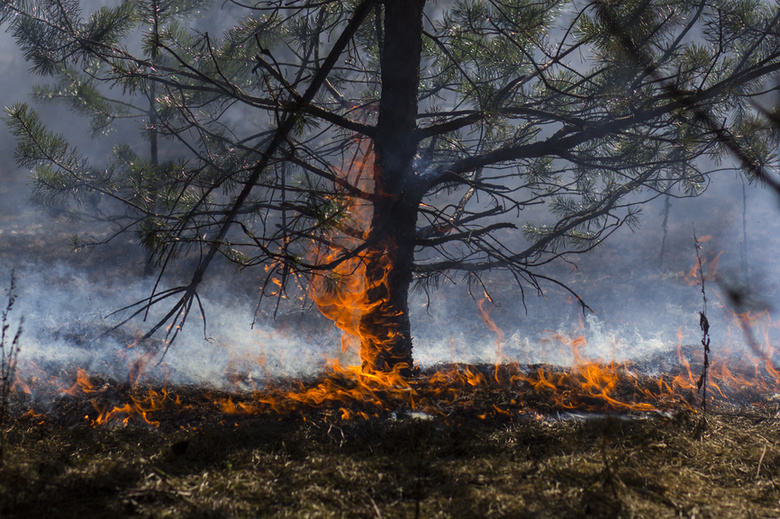 В Бурятии продолжаются лесные пожары на площади почти 90 тысяч гектаров