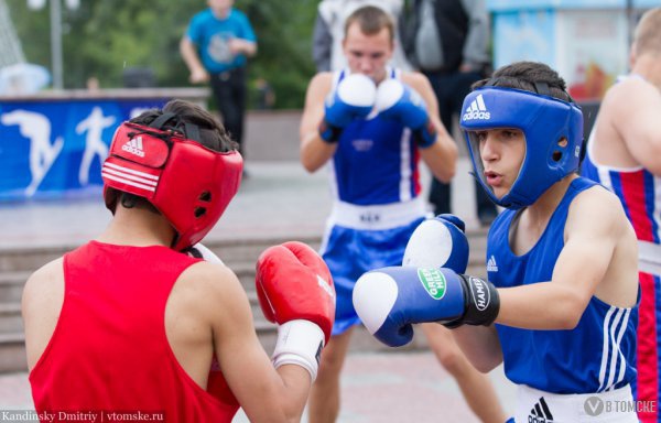 Около 200 юных боксеров приедут в Томск на первенство СФО