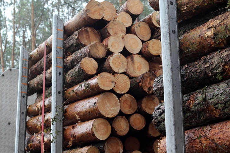 Прокуратура наказала заготовителей леса за переезды через нефтепроводы