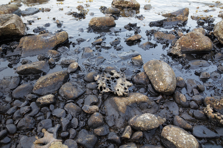 Нефтепродукты со старых барж попали в реку Ангару в Иркутске