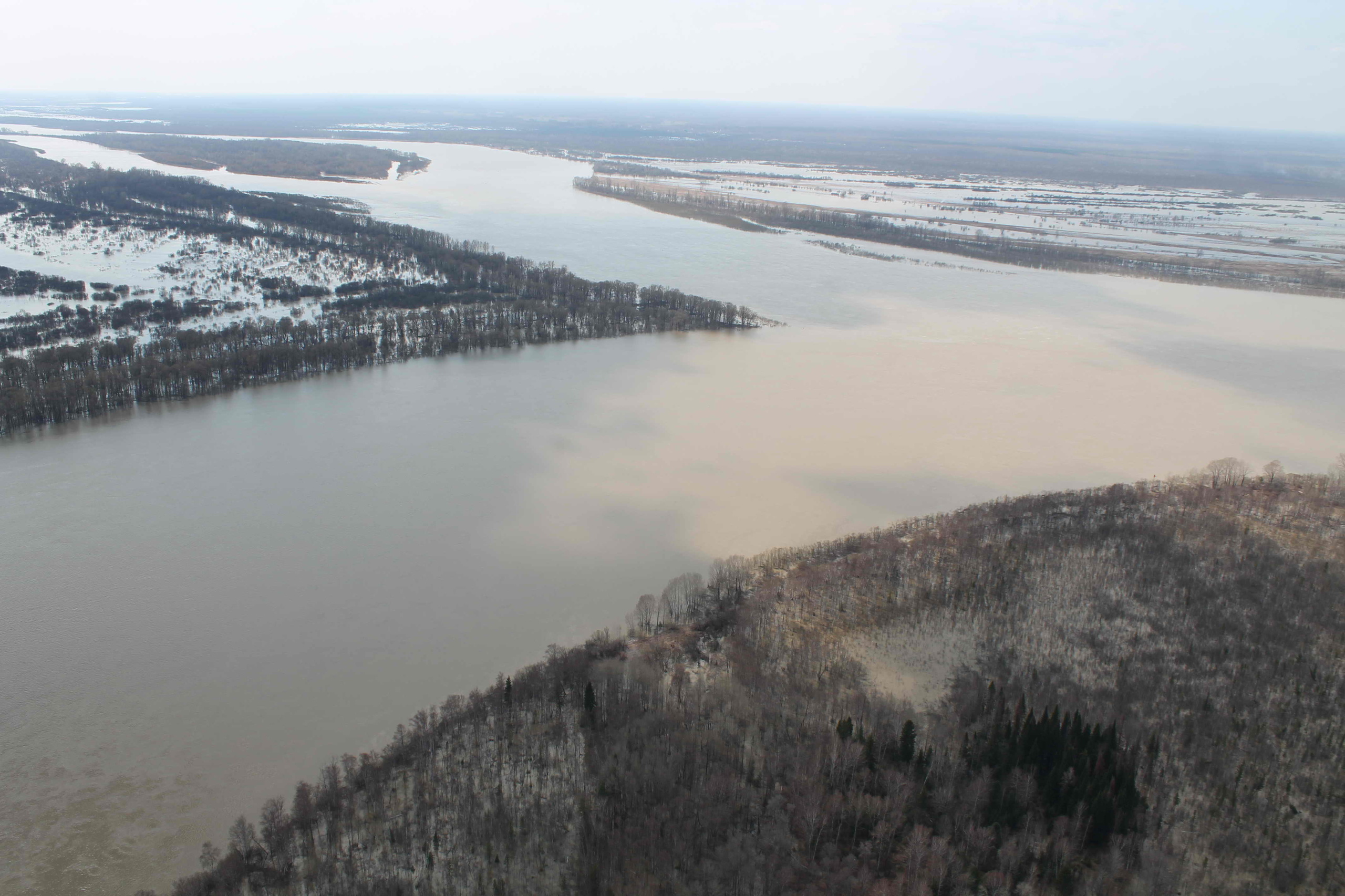 Уровень воды в Оби Александровское Томской области