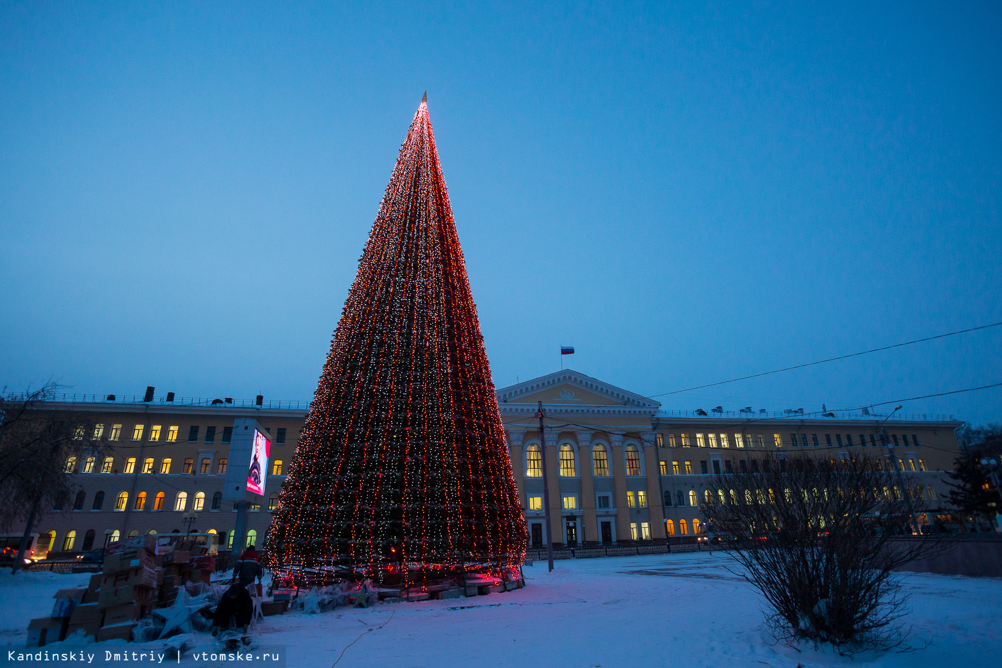 Томск елка на Новособорной площади