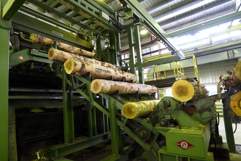 Строительство завода OSB-плит в Томской области продолжит другая фирма