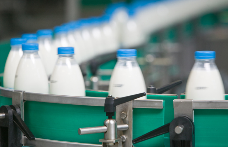 Производство молока в регионе сократилось почти на пять процентов