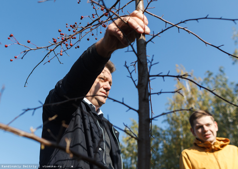 Мэр Томска на субботнике посадил деревья и обсудил будущее Лагерного сада
