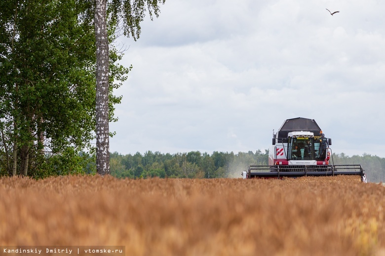 Томская область сохраняет 1 место в СФО по урожайности зерновых