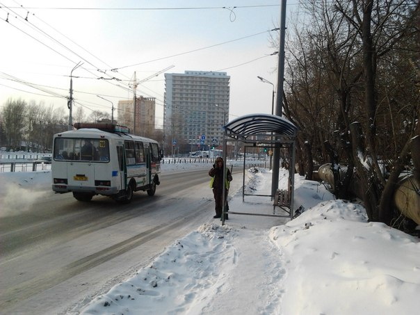 Народная новость: тротуар с препятствиями (фото)