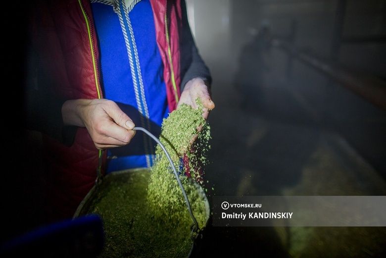 Около 400 елей после Нового года собрали в Томске на витамины коровам. Живые деревья популярны все меньше