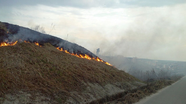 За сутки томские пожарные потушили более 30 палов