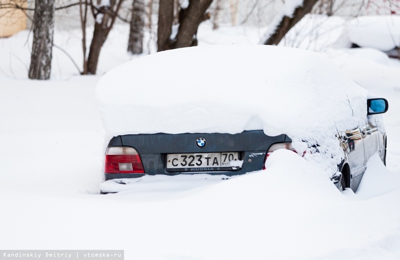 Синоптик: за ночь в Томске выпала пятидневная норма снега