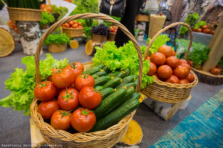 Выставки овощей и конкурс костюмов ждут томичей на празднике урожая