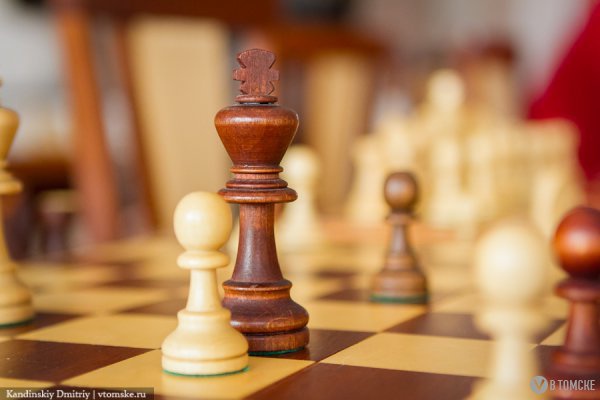 Томские журналисты соберут деньги для лечения коллеги на шахматном матче