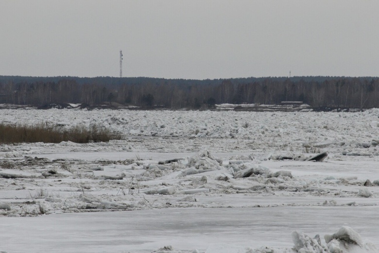 В Томи уровень воды понизился, в Оби — повысился