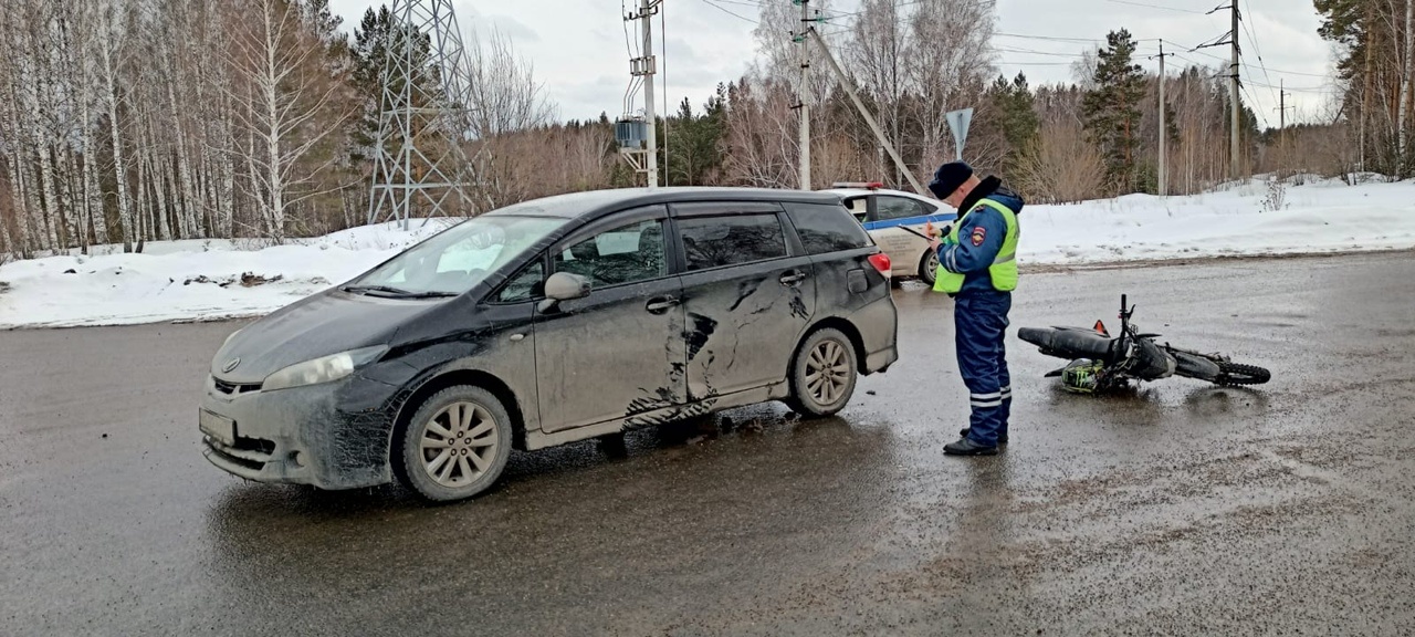 Лось врезался в машину