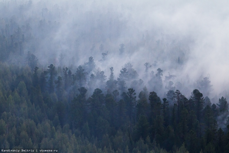 В Томской области продолжают действовать 8 лесных пожаров