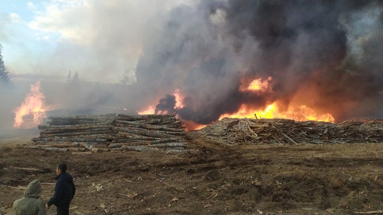 Пилорама горит в томском селе Кожевниково. Тушат пожар более 40 человек