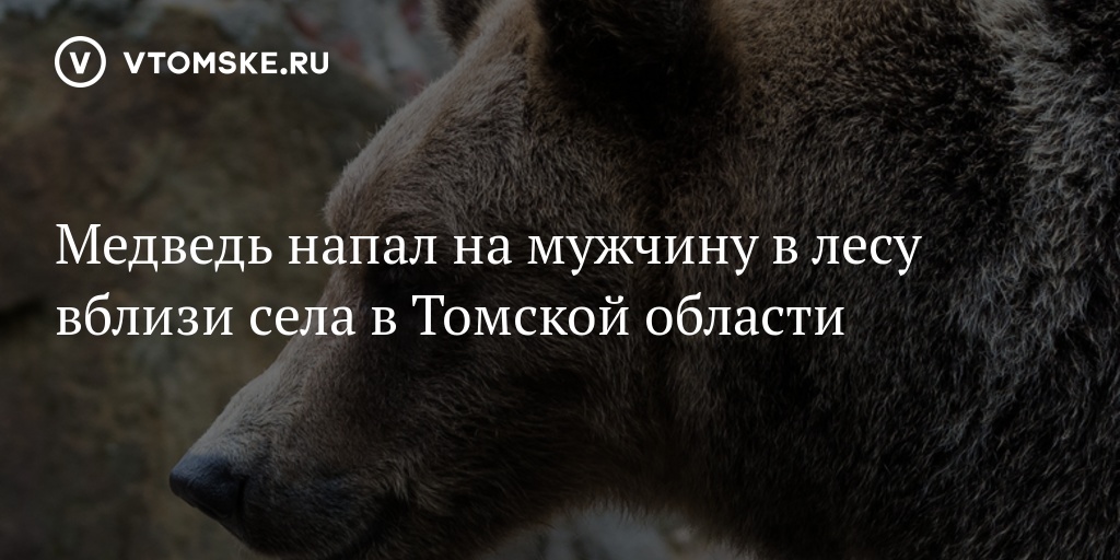 https://dn1.vtomske.ru/a/09/bc/09bc003af9a1629538e78a5ae7884211_shc54af2.jpg