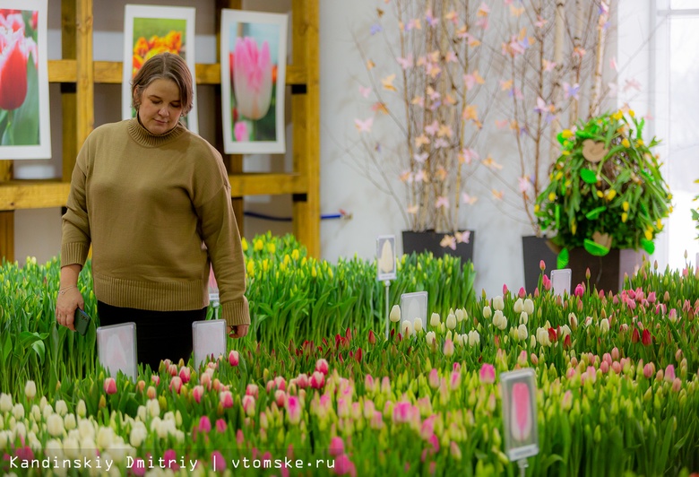 Цветочный поцелуй: большая выставка тюльпанов и роз открылась под Томском