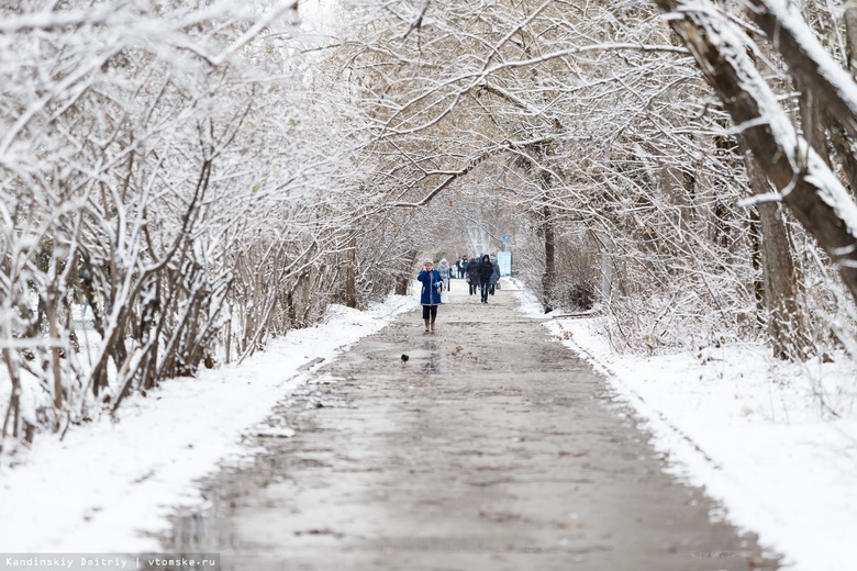Гололедица, ветер и мокрый снег: оперативное предупреждение на среду в Томске