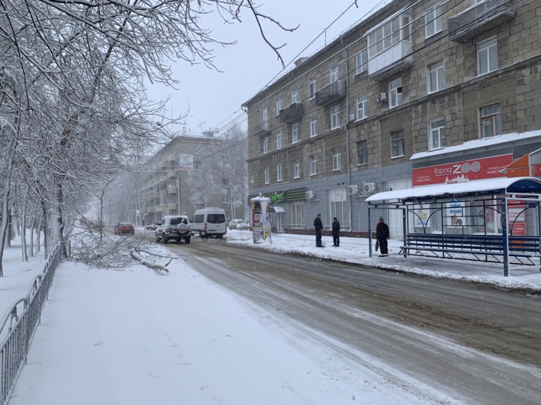 В Томске за ночь выпало до 1,2 сантиметра снега