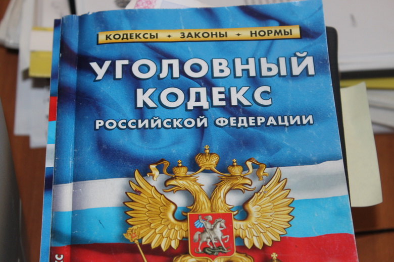 На окраине Томска неизвестные уничтожили леса на 12,4 млн, возбуждено дело