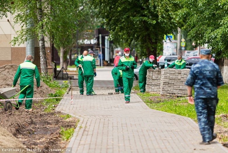 Посадка новых деревьев и кустарников на Усова начнется в августе