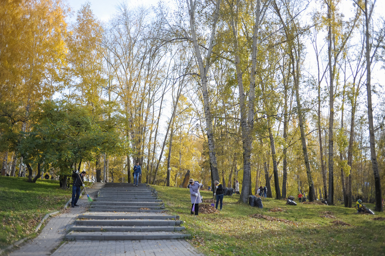 Сцену, фуд-корт и новые детские площадки предлагают сделать в Буфф-саду Томска