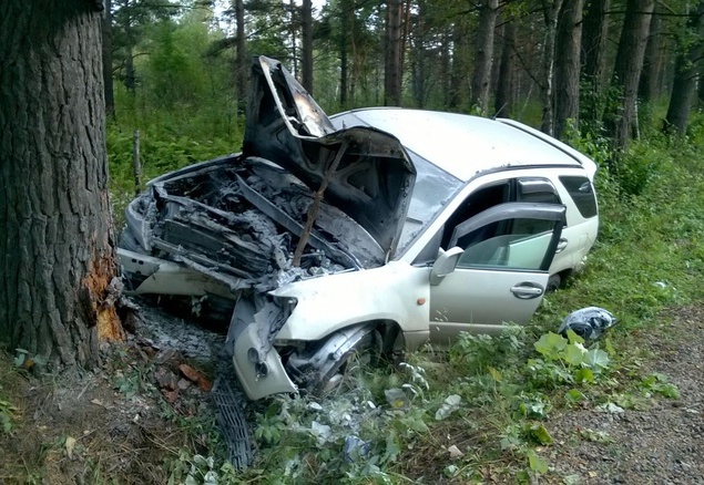 Toyota загорелась после наезда на дерево в Томске, водитель в больнице
