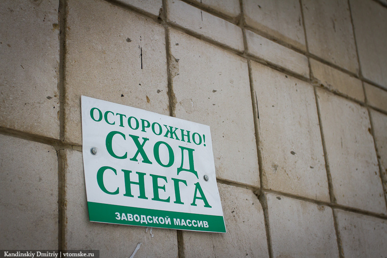 На Елизаровых машина пострадала от схода снега с крыши (фото)