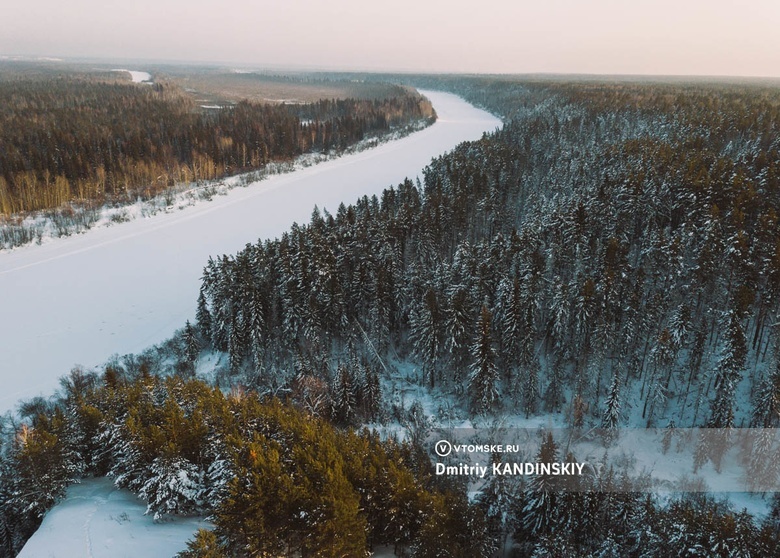 Розовые фламинго залетели в Томскую область, сбившись с курса. Их ищут, чтобы спасти