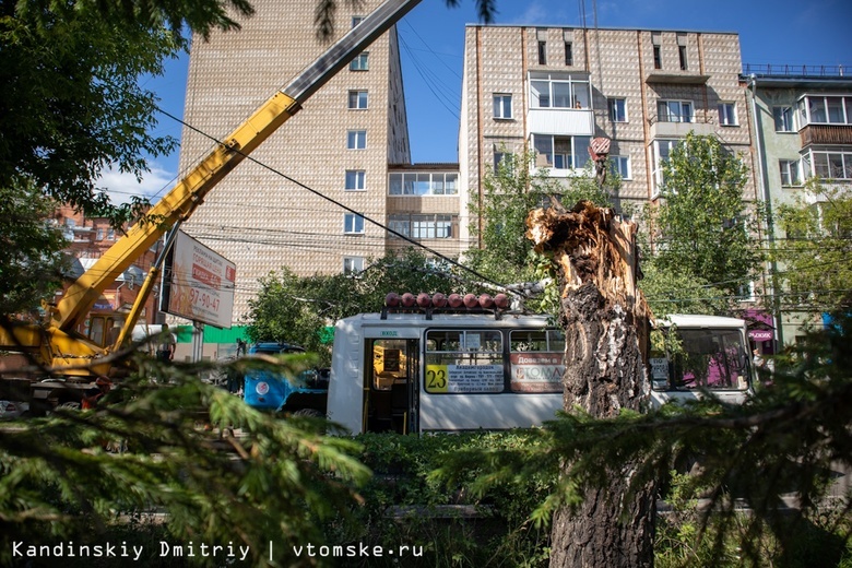Дерево упало на маршрутку в центре Томска