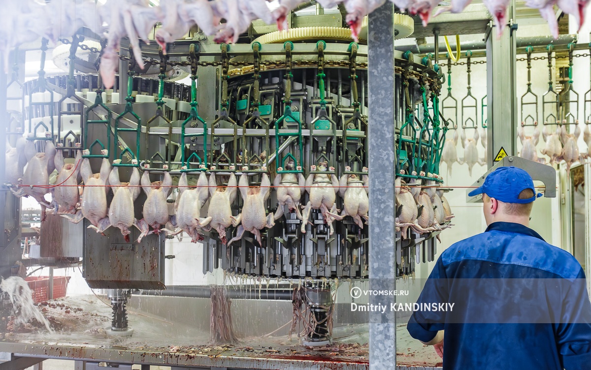 Курица в томских магазинах подорожала на 11% за год, индейка прибавила почти 17%