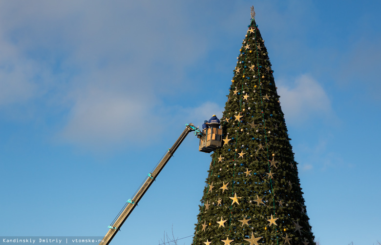 Главную новогоднюю ель Томска установят на новом месте