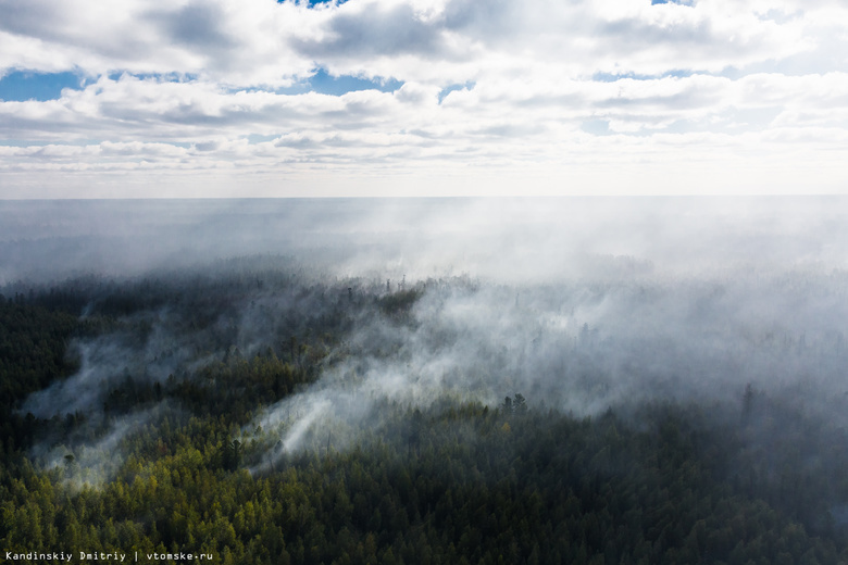 В Первомайском районе 3-й день тушат лесной пожар, возникший по вине населения