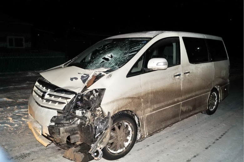 Водитель Toyota насмерть сбил мужчину в томском селе