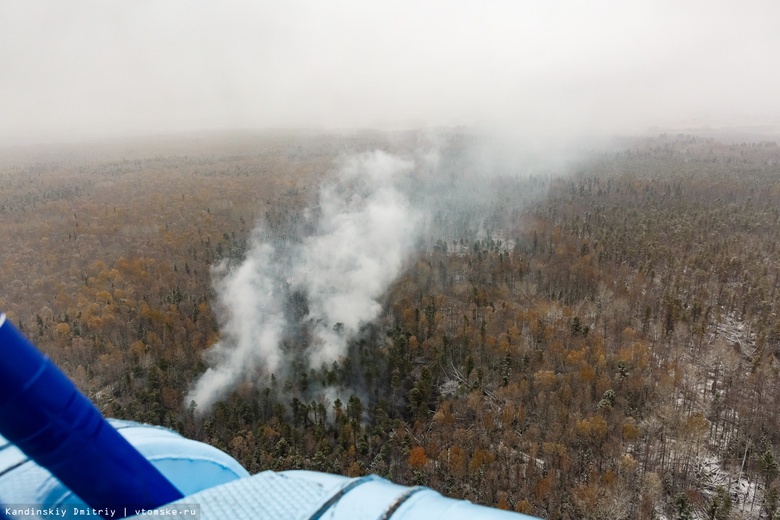 Пожароопасные участки рядом с лесом нашли в районах Томской области