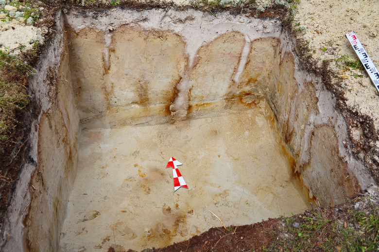 В поселке Кайдаловка начали раскапывать могильник пятого века