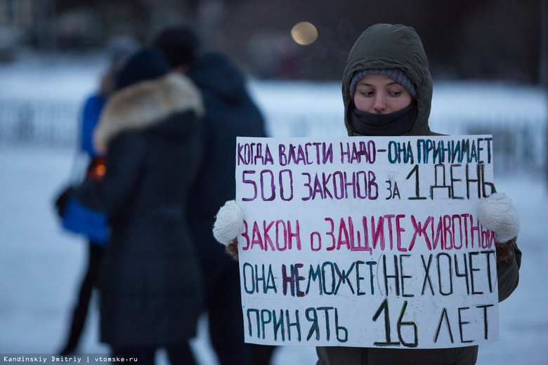 Томичи на пикете потребовали наказать хабаровских живодерок и ужесточить закон о защите животных