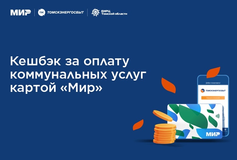 Томичам вернули более 10 млн рублей кешбэка за оплату электроэнергии картой «Мир»