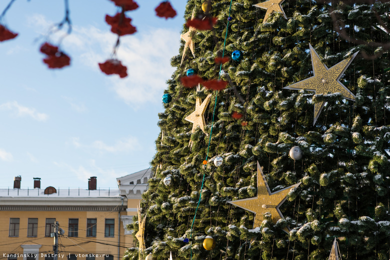 На Новособорной украсили новогоднюю ель (фото)