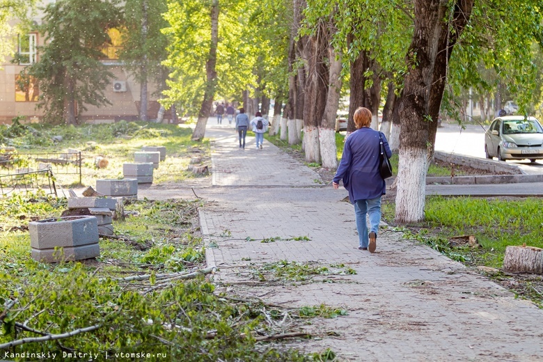 Новые скамейки, растения и тропы: какие места благоустроят в Томске в 2023г
