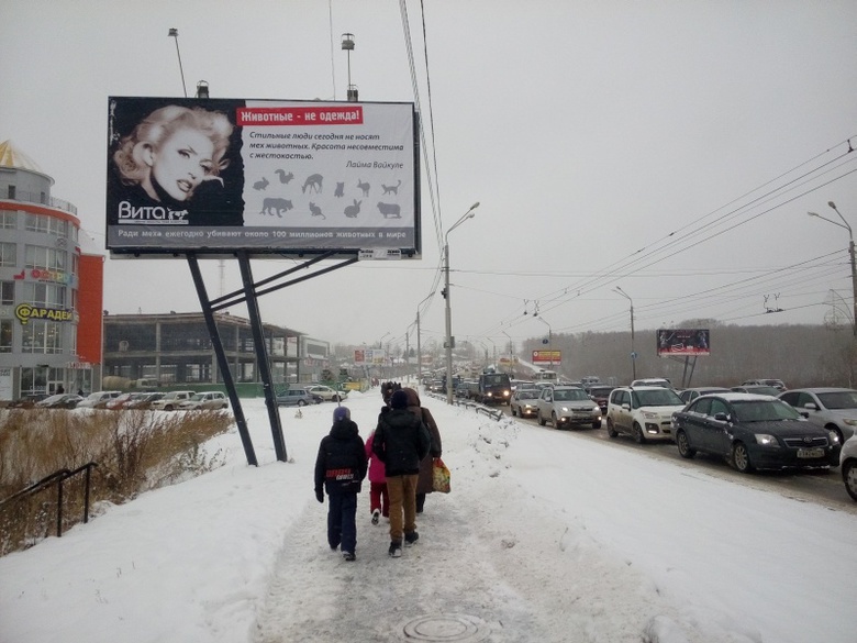 В Томске появились биллборды с призывом не носить меха (фото)