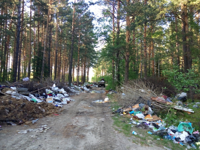 Эколог: в Томской области остаются неубранными 126 незаконных свалок