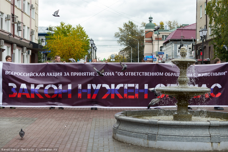 Томские зоозащитники собрали 330 подписей в поддержку закона о защите прав животных