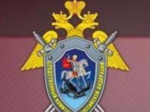 Следствие просит помочь в раскрытии убийства двух женщин в Зырянском районе