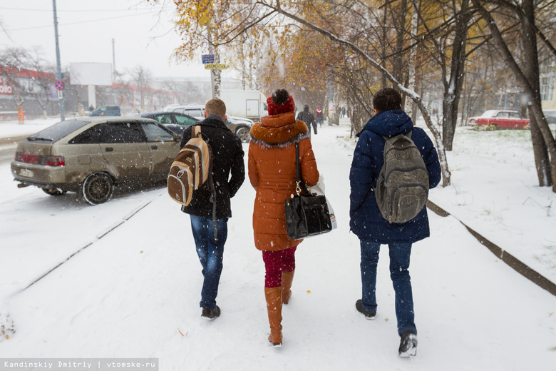 В среду синоптики прогнозируют в Томске снегопад и метель