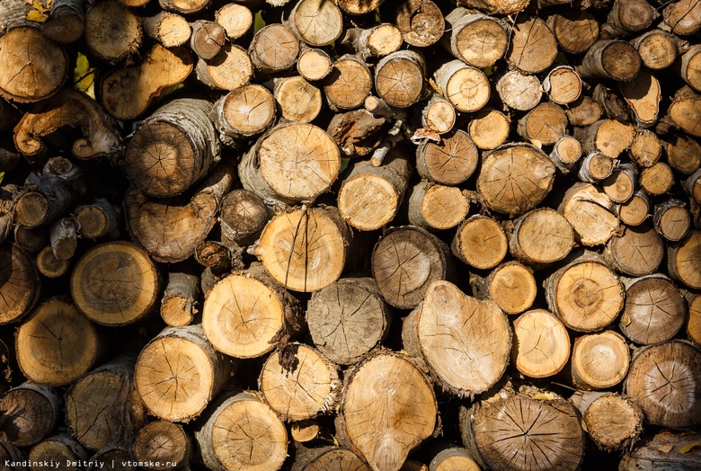 Приставы опечатали пункт приема и отгрузки древесины в Томской области