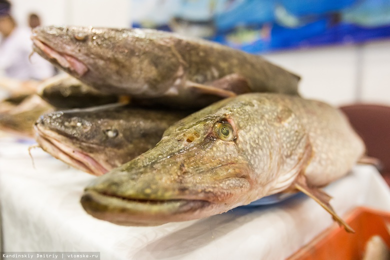 Кнорр: 4 лаборатории дали отрицательный результат по ртути в колпашевской рыбе