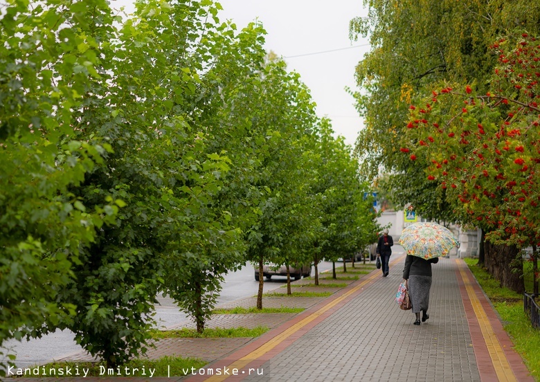 Дожди с мокрым снегом и похолодание до -3°С ожидаются в Томске в конце сентября
