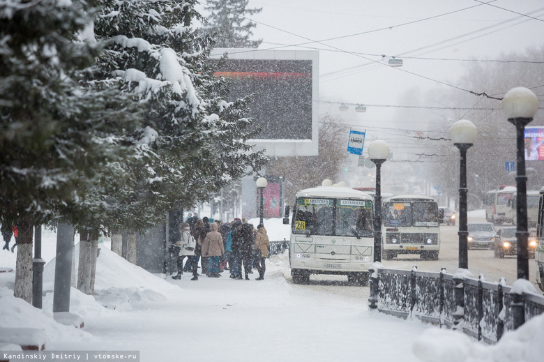 Проезд в маршрутках Томска в Новый год составит 30-35 руб